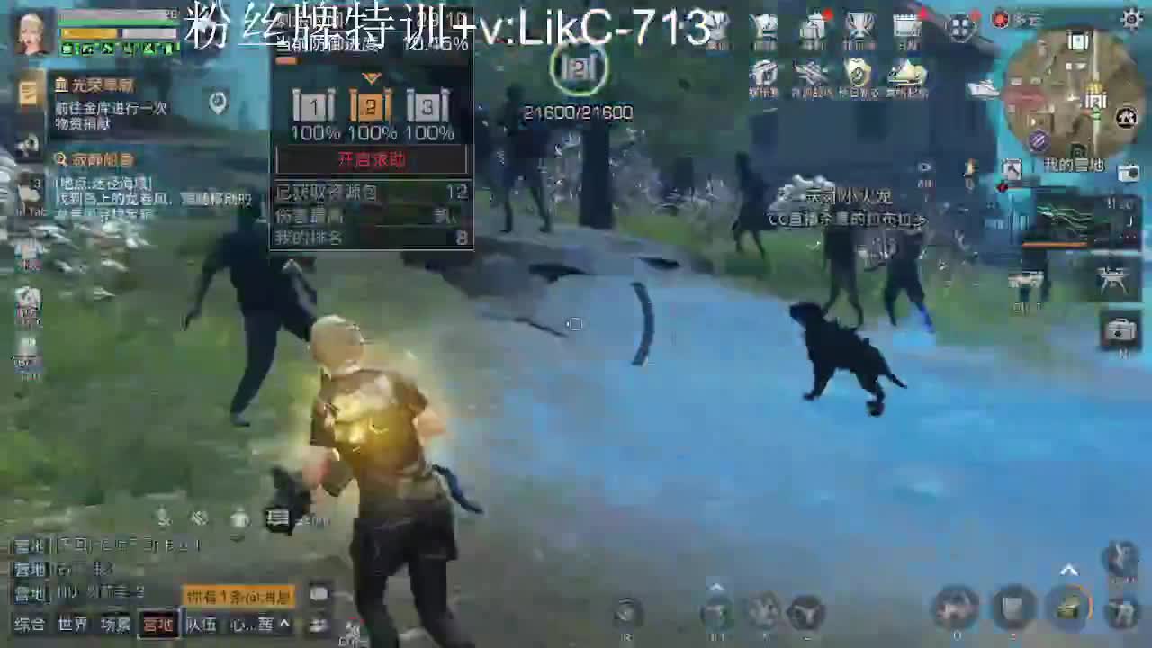永久金cc，赛马线出击！