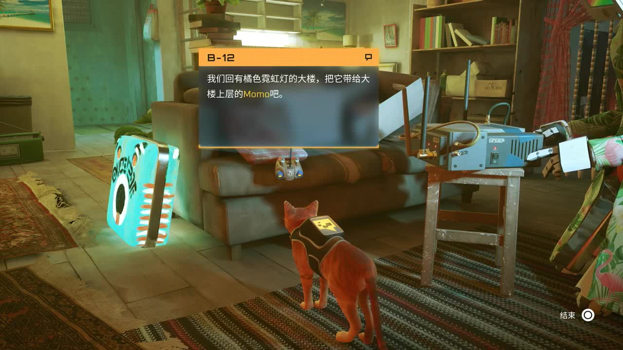 撸一下小猫猫
