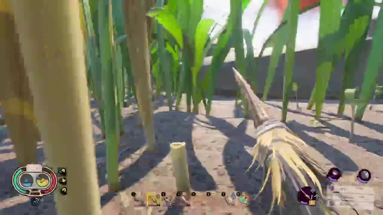 【肯尼】后院求生 第1段