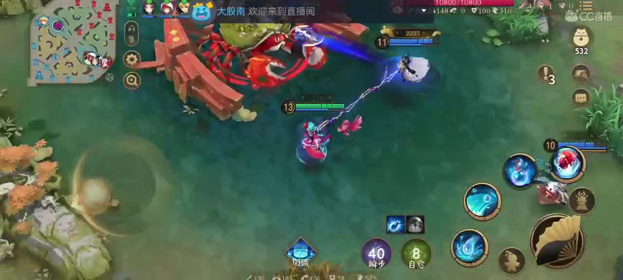 包C不包赢