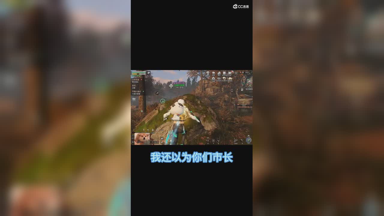 熊哥烧操作1