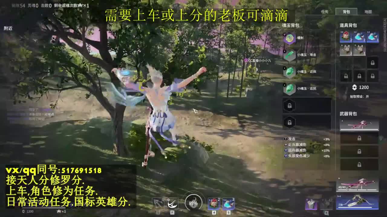 修罗局接上车,上分,天人榜.修为,日常 第2段