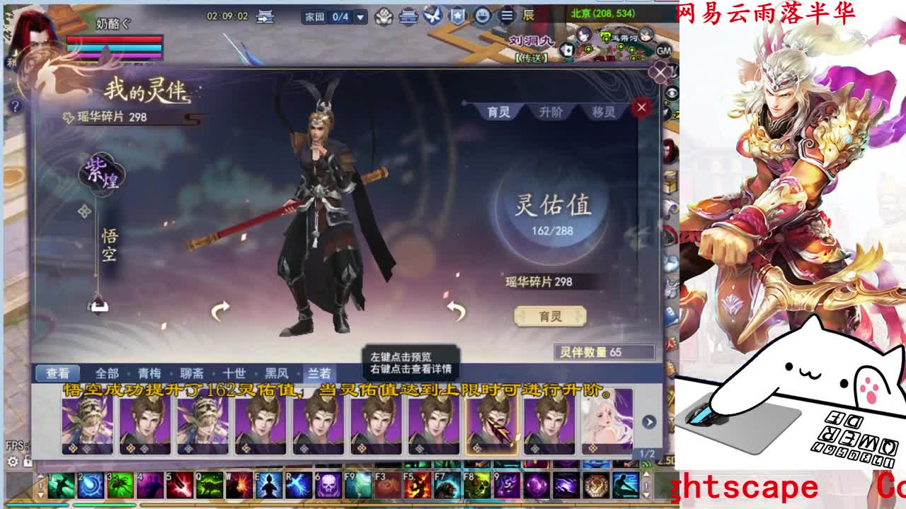 司星关宁
