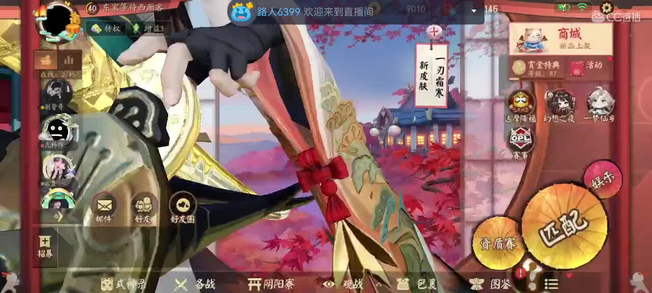包C不包赢