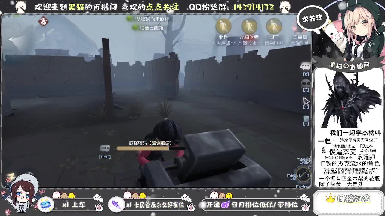 国服S艾玛黑猫