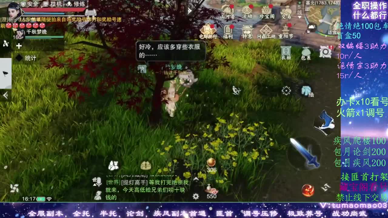 托管dd疾风dd看号dd！！！