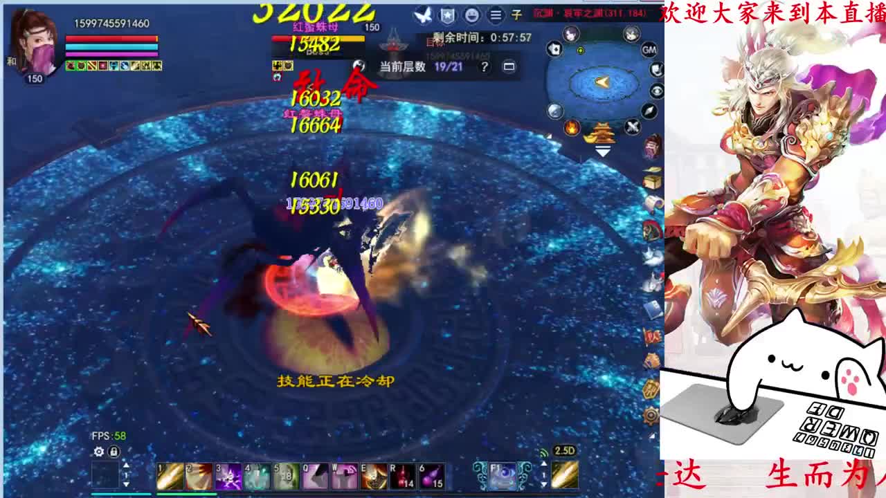 司星关宁
