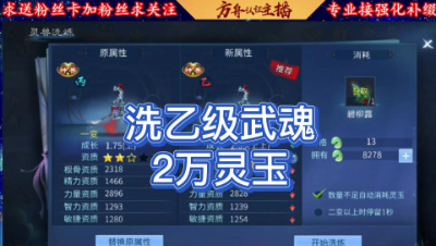 2万灵玉洗乙级武魂