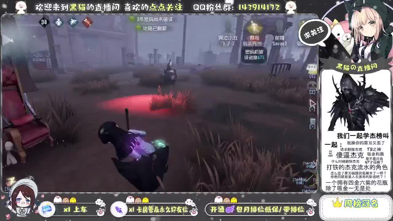 国服S艾玛黑猫