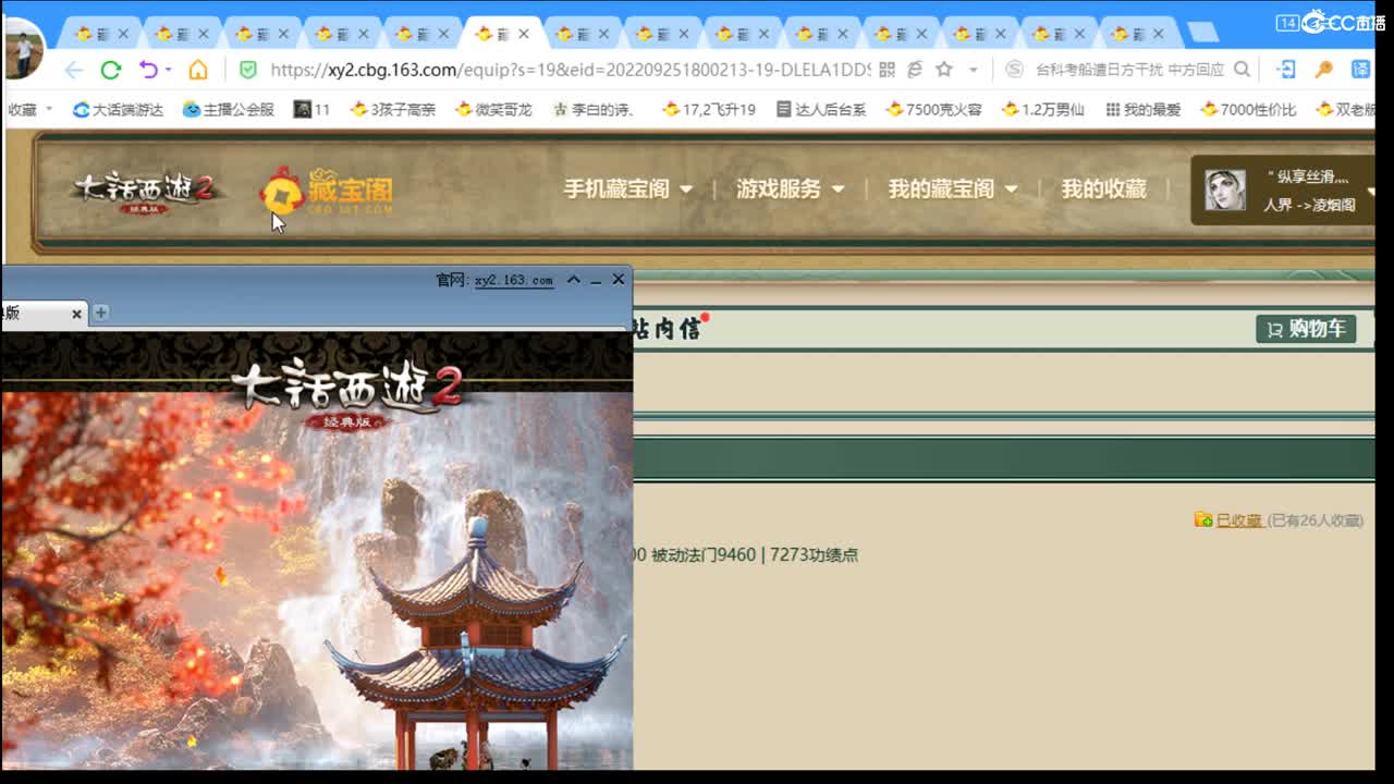 估价搭配专业负责的主播