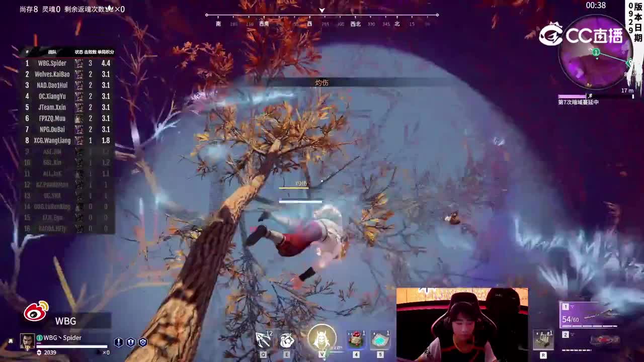 WBG丶Spider周决冠军之路