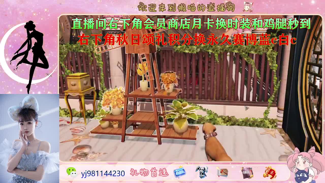 沉浸式直播 第2段