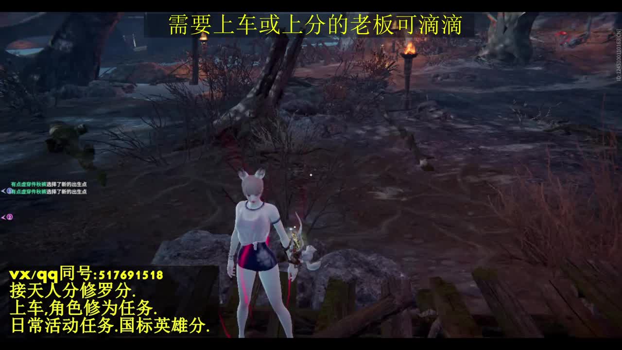 无双天人榜接上分,上车.天人.修为.日常 第2段