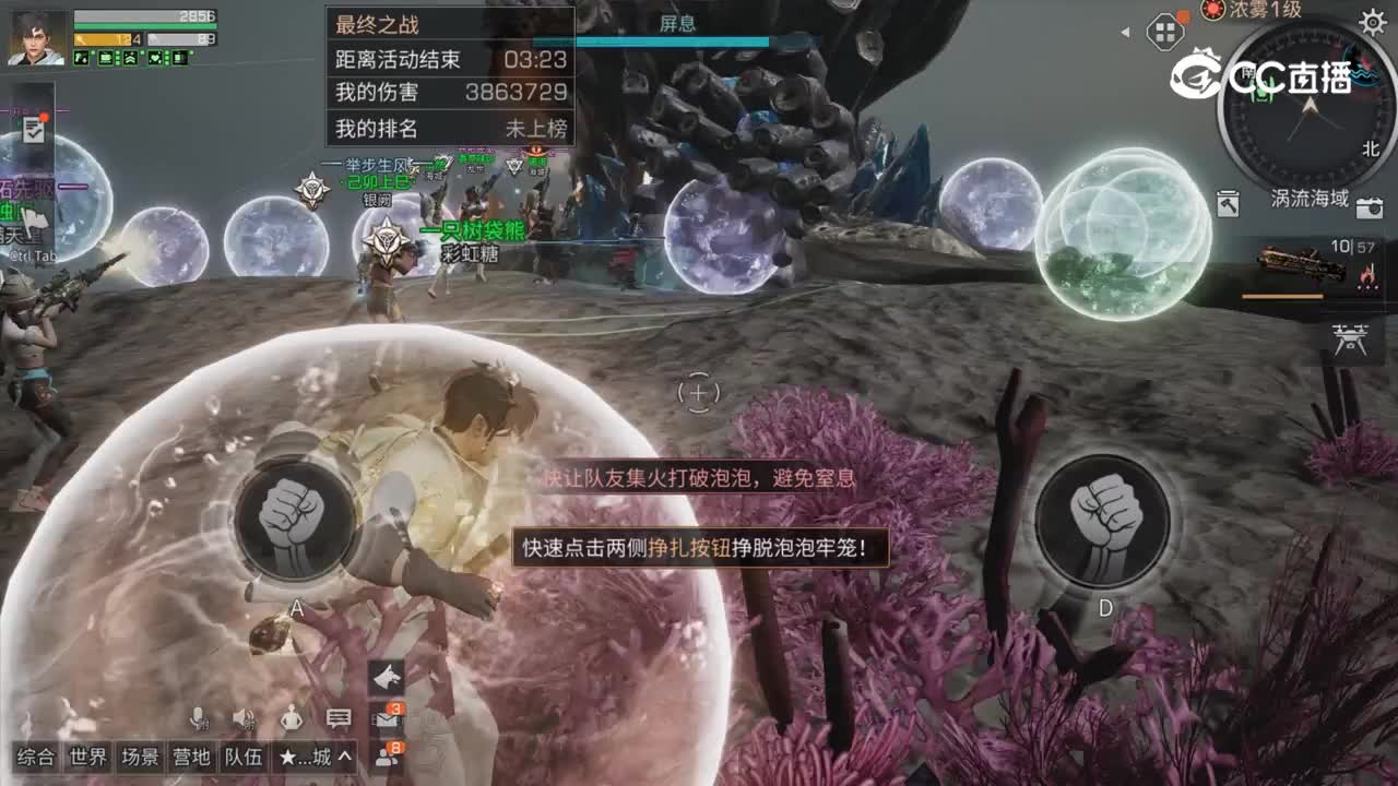 海上珊瑚虫