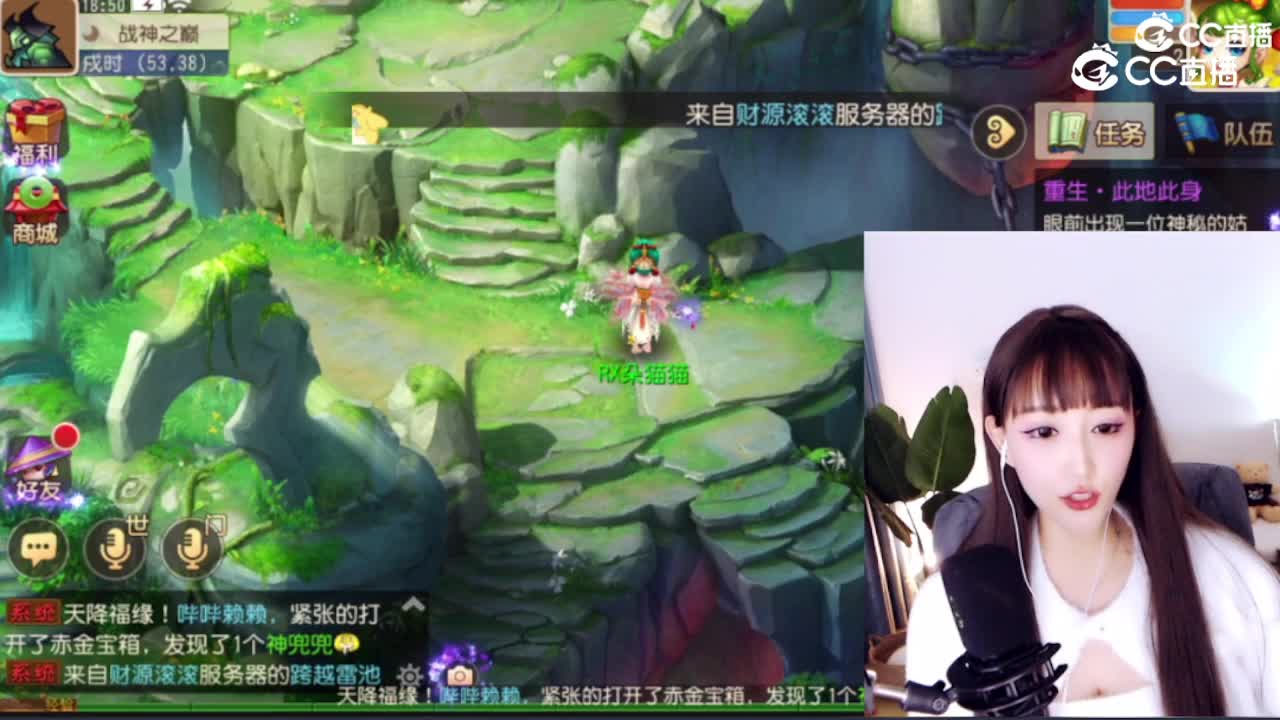 朵猫猫