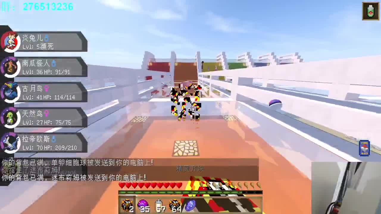 真正的神奇宝贝大师！ 第1段