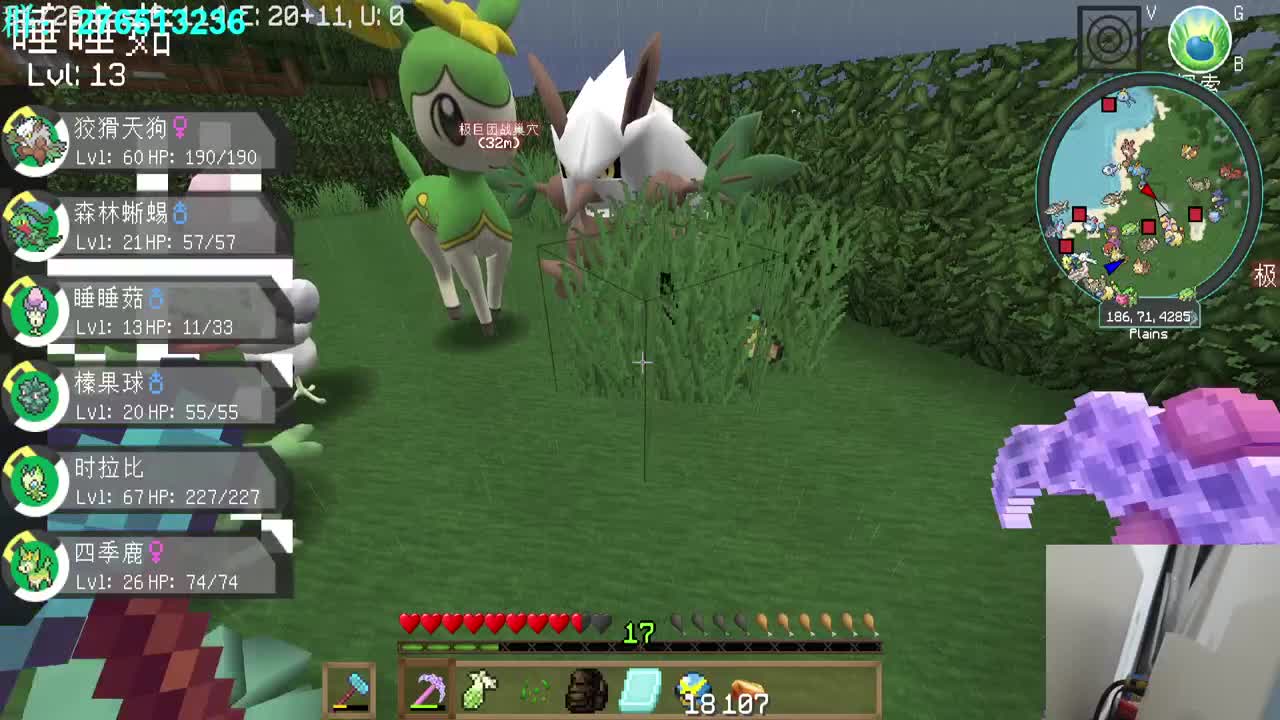 真正的神奇宝贝大师！ 第2段