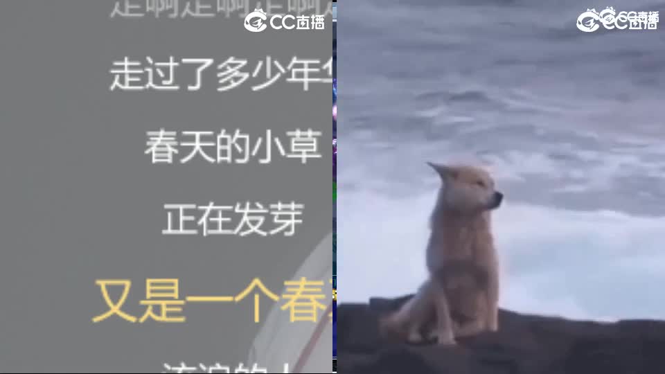 心之所向，便是阳光，无所畏惧，便是远方 第1段