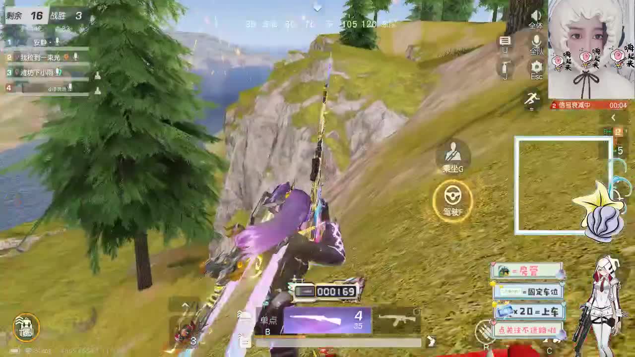 11.13 快看~小白菜