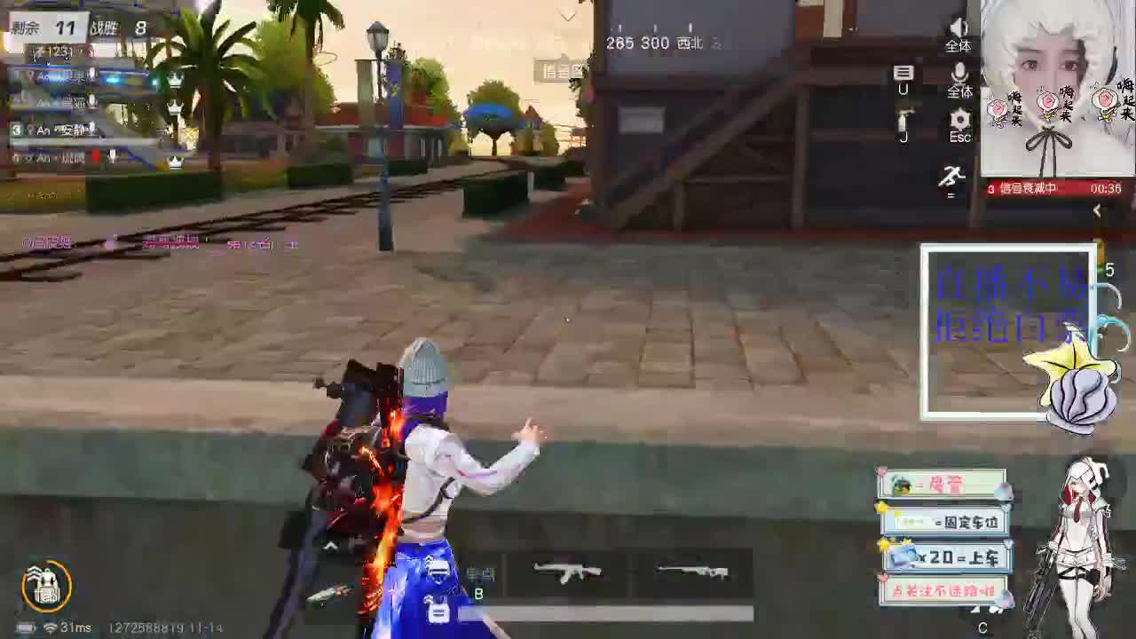 11.13 快看~小白菜 第1段