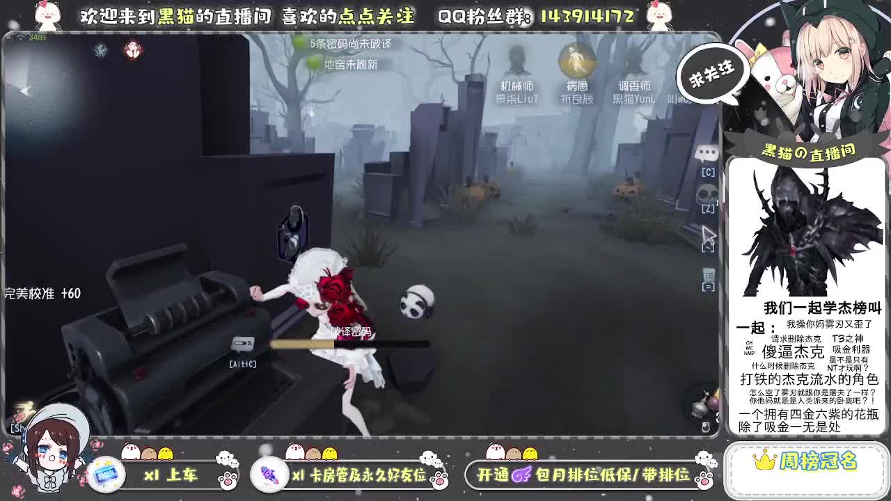 国服S艾玛黑猫