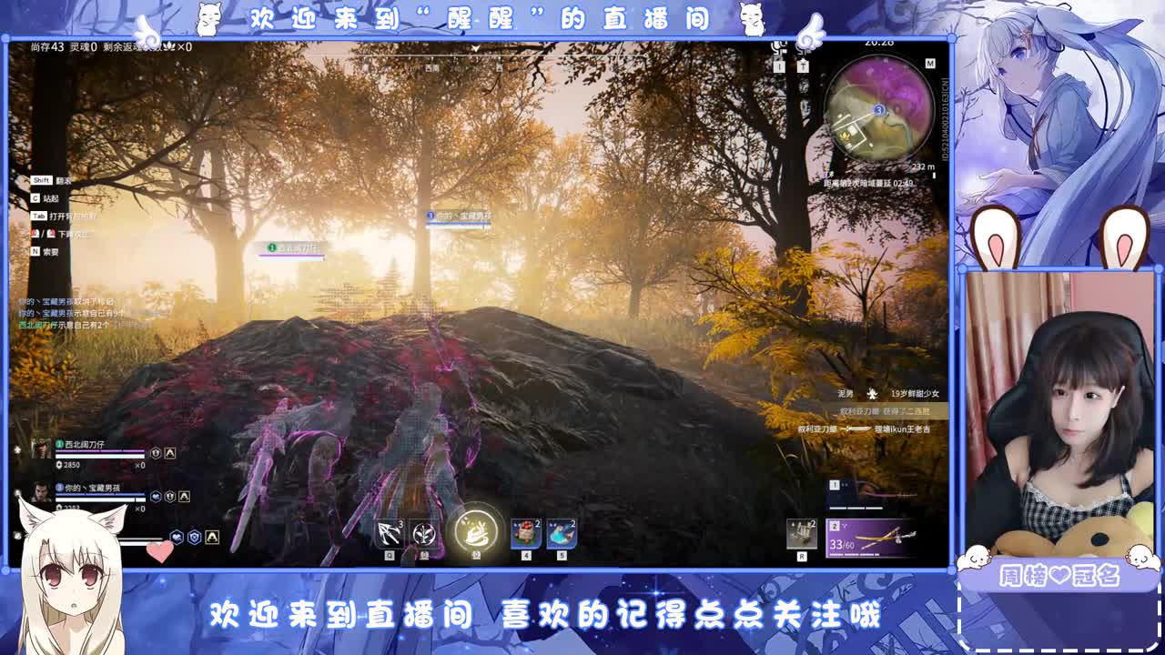 别翻了~就我了~ 第2段