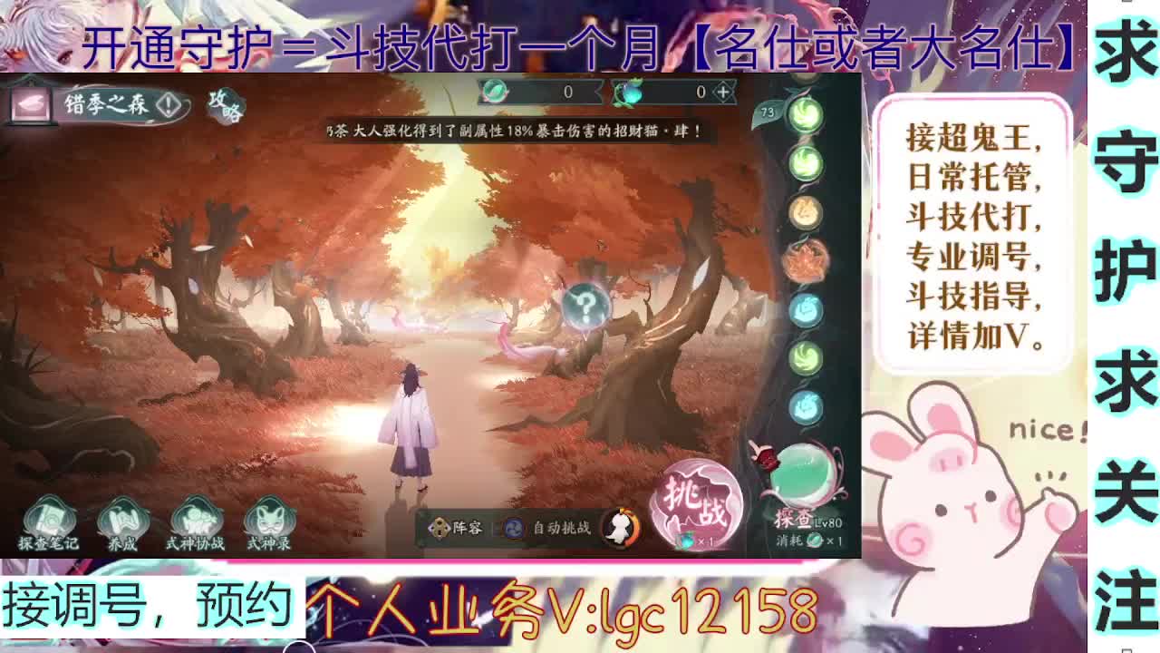 打打斗技，接斗技调号托管 第2段
