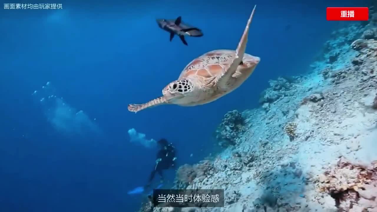 率土之滨长风破浪邀请赛 第4段