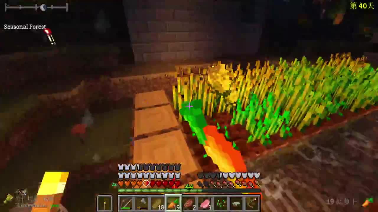 寒江孤影~ 第11段