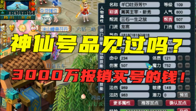 梦幻西游：这才叫神仙号品