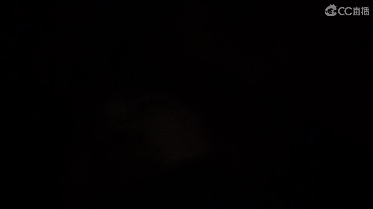 恭喜小蜘蛛世界冠军！ 第4段