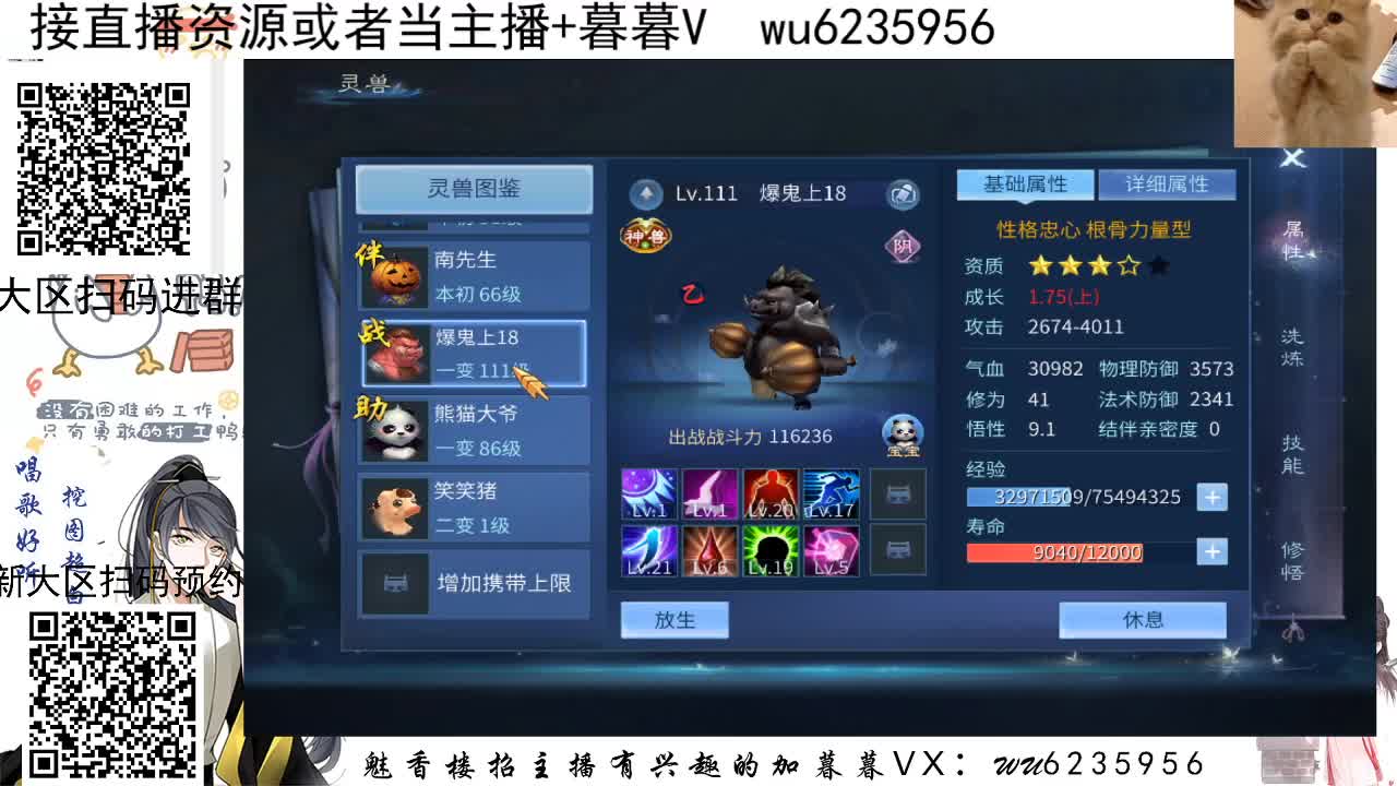 最近杨了，多担待~ 第6段