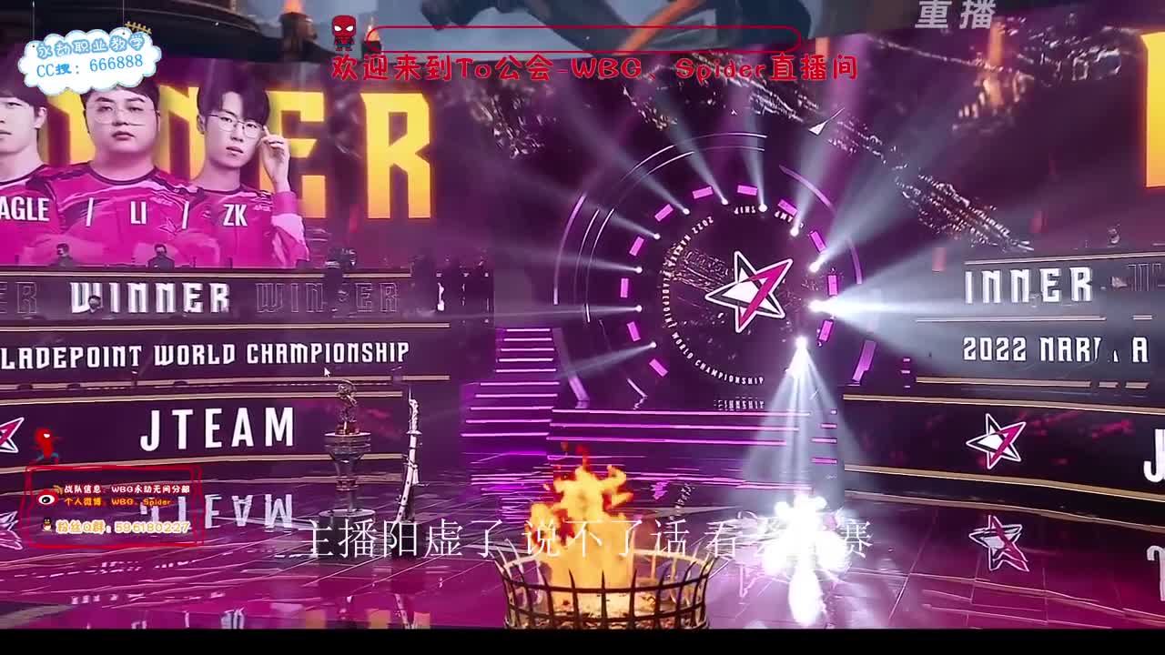 冠军之夜 送极品皮肤/咏武战旗 第8段