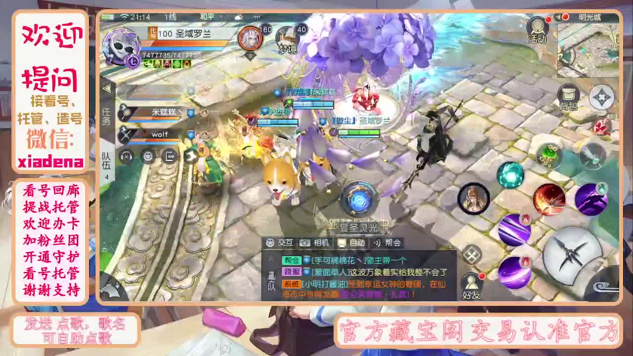 别翻了~就我了~ 第5段