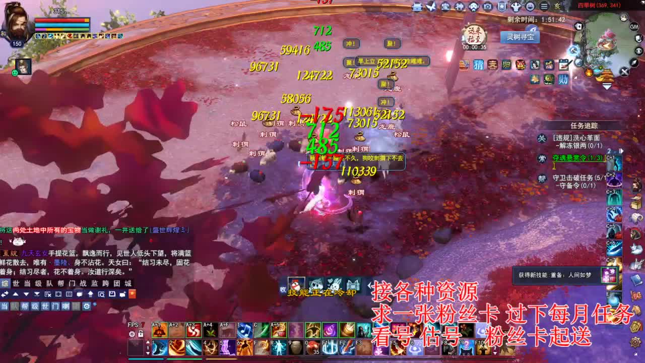 专业看号估号，接各种四季树 第6段