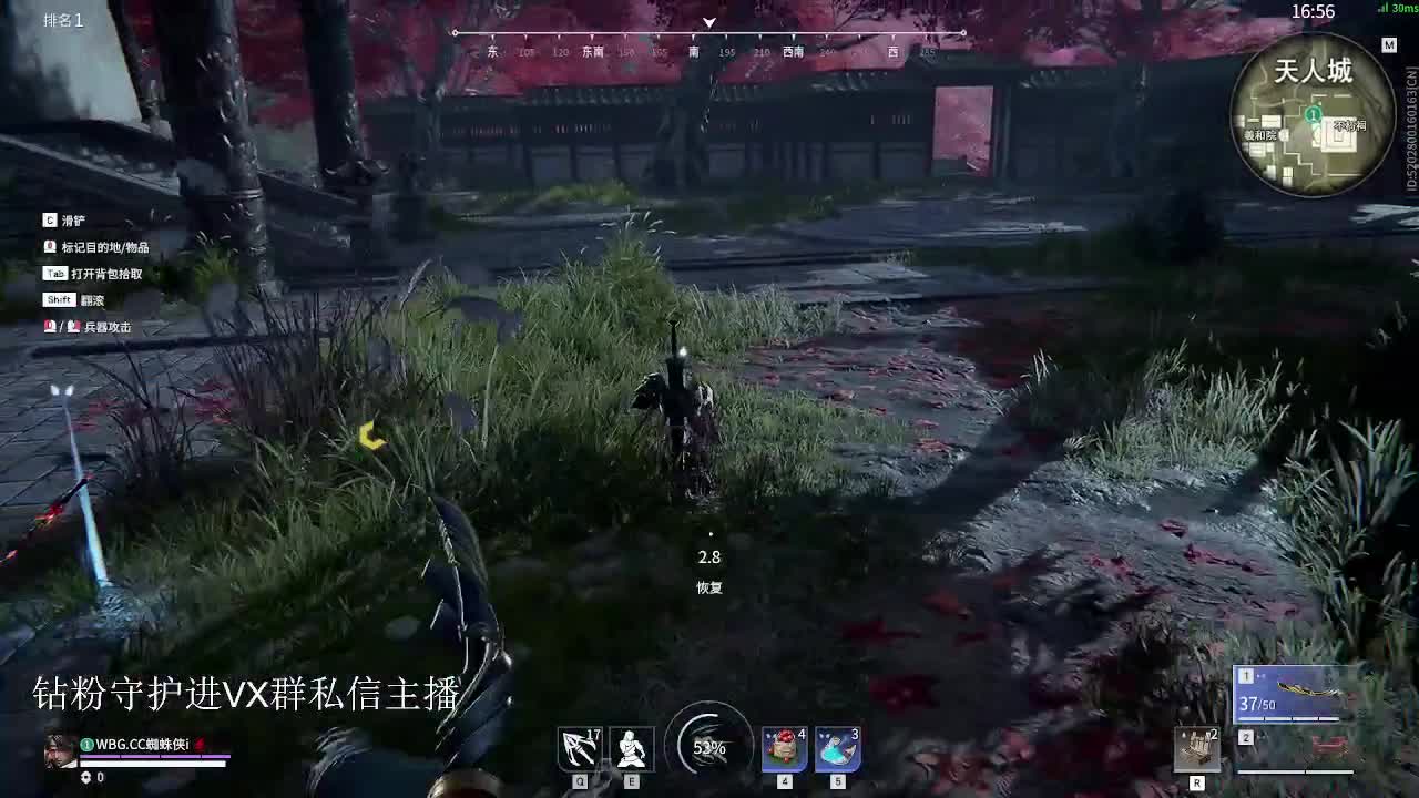 看看冠军标 第1段