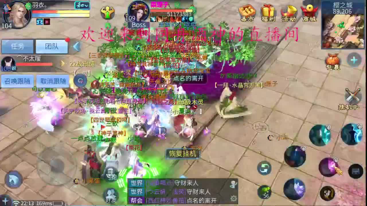 新年托管，指挥，新区升级 第4段