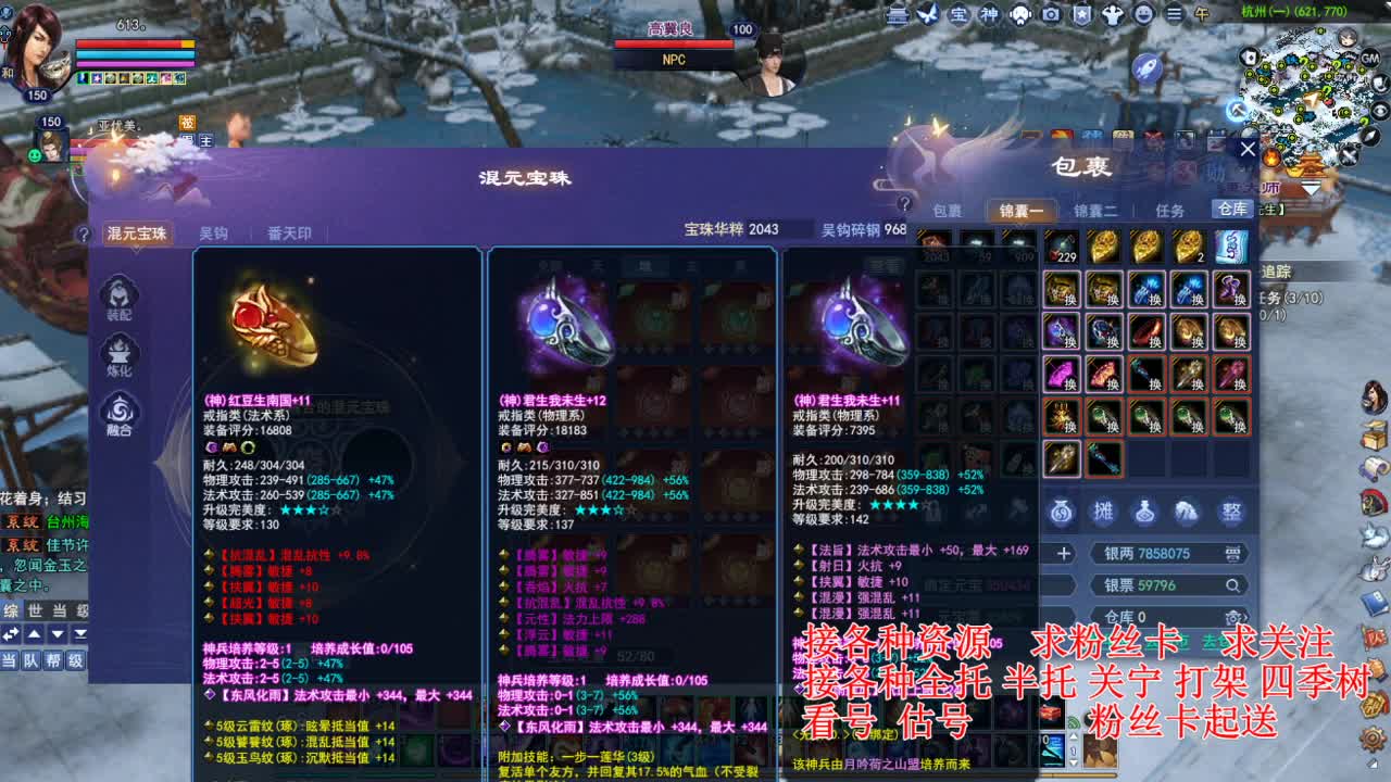 专业看号估号，接各种四季树 第7段