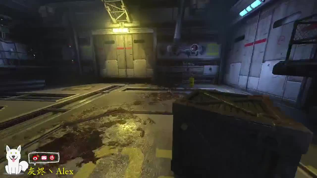 新的一年，新的快乐！ 第11段