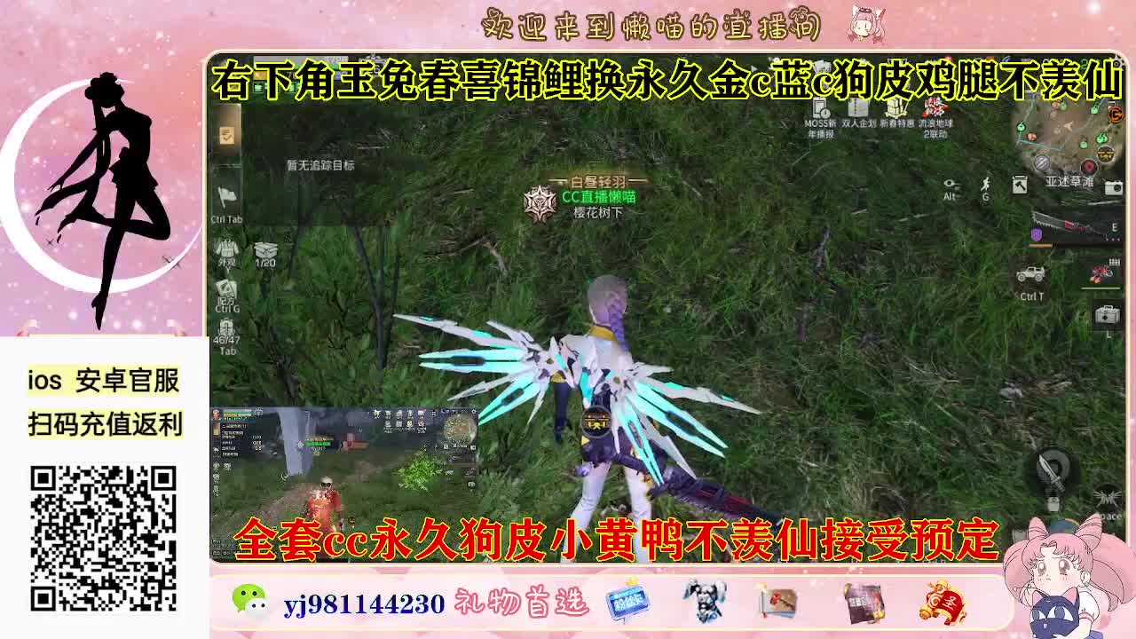 金c蓝c鸡腿有了 第5段