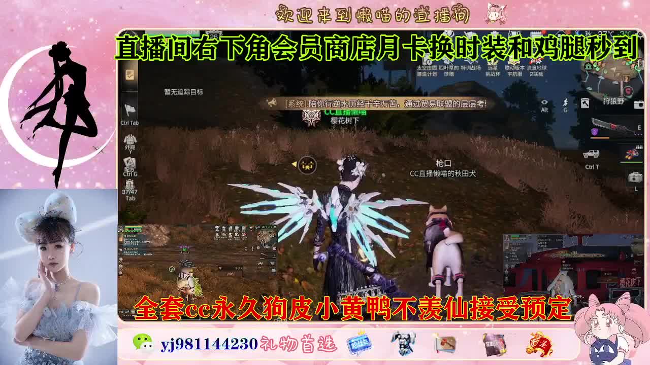 有老板需要代肝吗 第6段