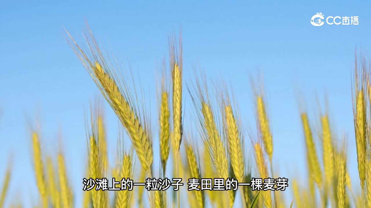 【有声书】第三季第9章 阿原