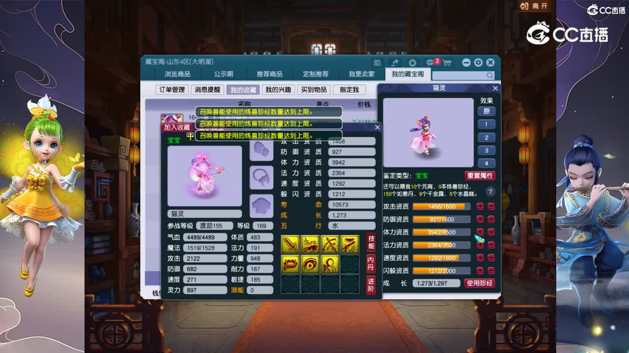 【主播点评】猫灵