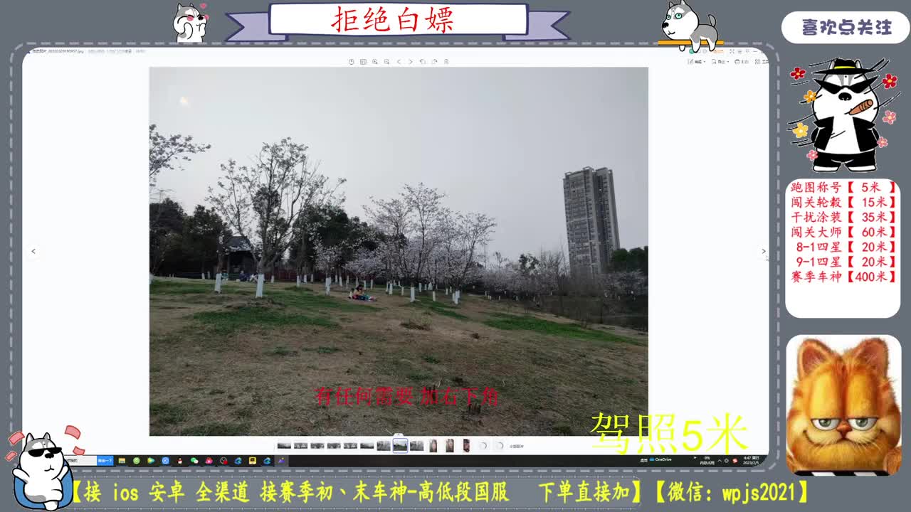 美貌与智慧并存，颜值与才华齐飞 第4段