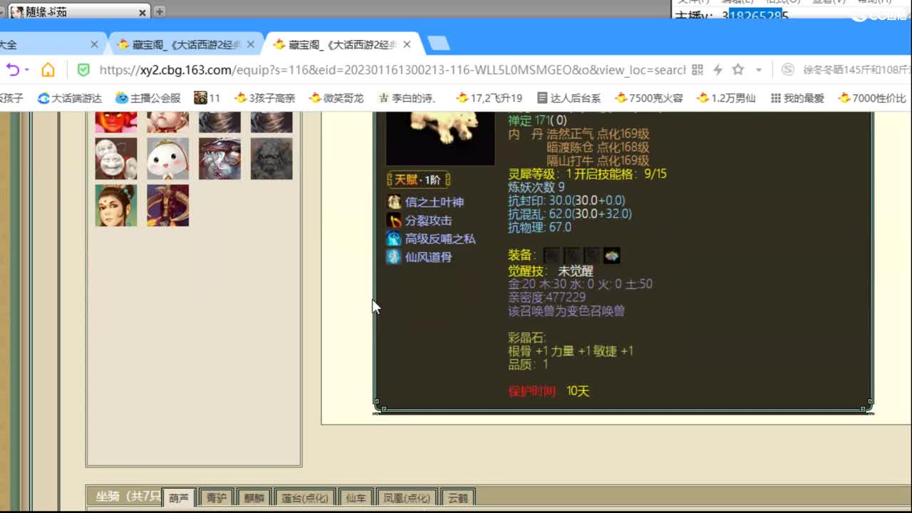估价配装专业细心的主播 第3段