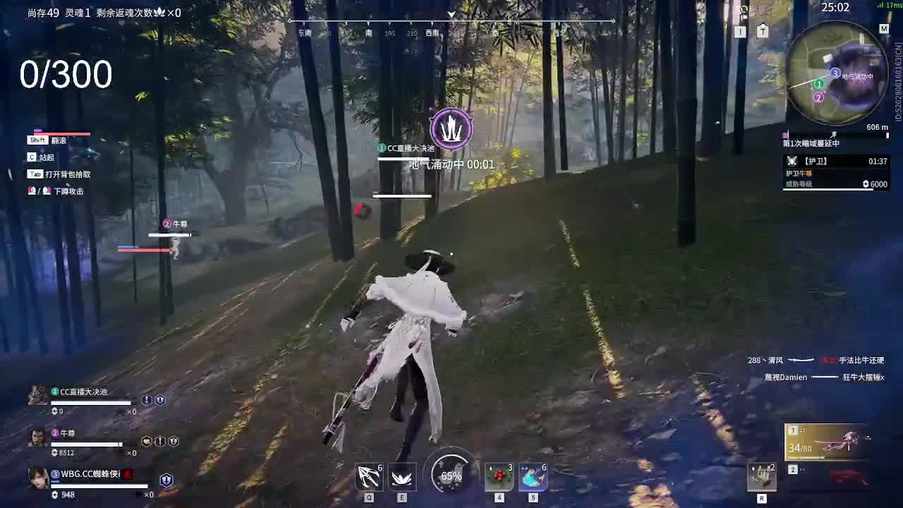 挣够300就下播 第5段