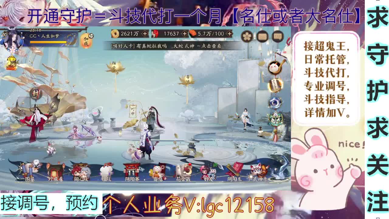 打打斗技，接斗技调号托管 第7段