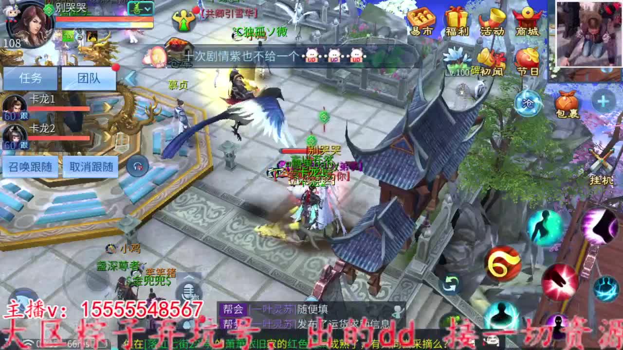 战斗鸡上线。 第1段