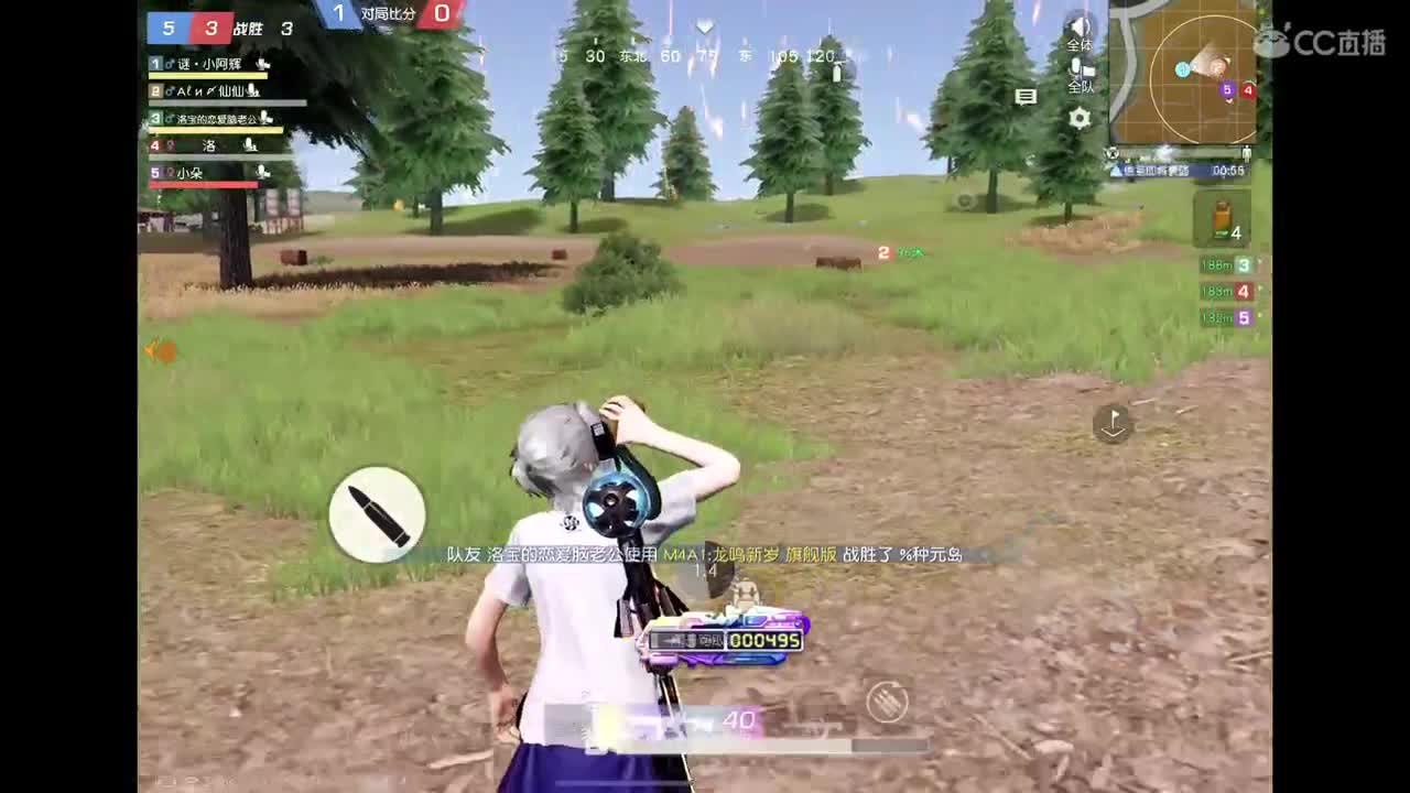 巍姐生日快乐? 第12段