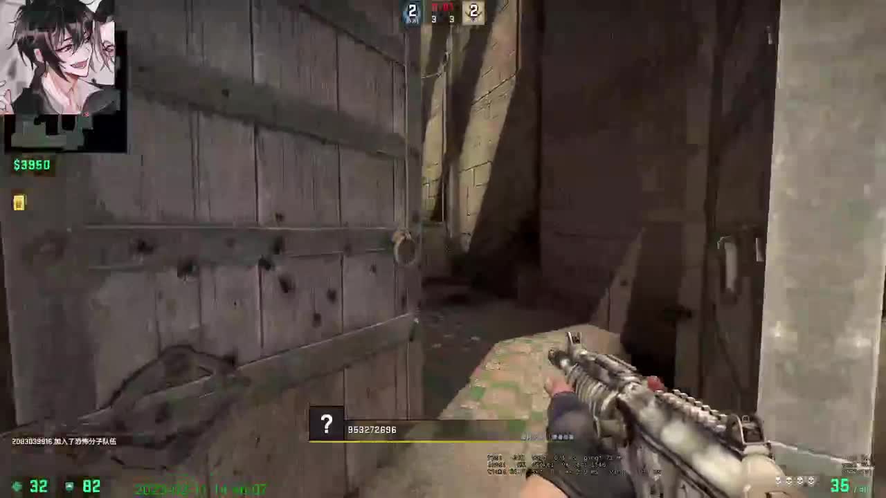 【CSGO】偷偷播会 第6段